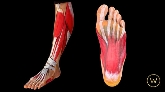 The Case for the Barefoot Lifestyle