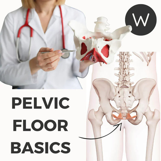 Pelvic Floor Muscles - Why You Should Care About Them!