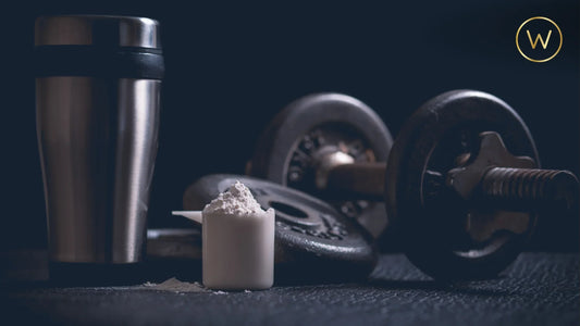 5 Reasons to Prioritize Protein